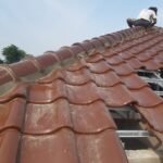 jasa aurora baja ringan - Jasa Pasang Atap Dan Ganti Renovasi Atap Baja Ringan Tukang Pengalaman 09 jasa aurora baja ringan - Jasa Pasang Atap Dan Ganti Renovasi Atap Baja Ringan Tukang Pengalaman 09